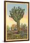 Watermelon Tree, Freak Saguaro Cactus-null-Framed Art Print