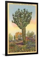 Watermelon Tree, Freak Saguaro Cactus-null-Framed Art Print