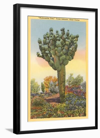 Watermelon Tree, Freak Saguaro Cactus-null-Framed Art Print