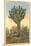 Watermelon Tree, Freak Saguaro Cactus-null-Mounted Art Print