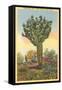 Watermelon Tree, Freak Saguaro Cactus-null-Framed Stretched Canvas