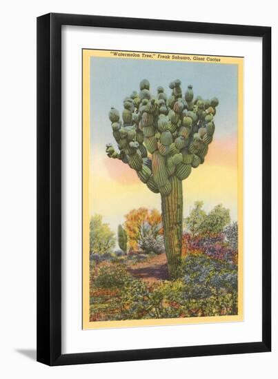 Watermelon Tree, Freak Saguaro Cactus-null-Framed Art Print