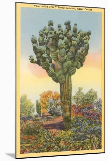 Watermelon Tree, Freak Saguaro Cactus-null-Mounted Art Print