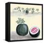 Watermelon With Plant Growing In The Background-null-Framed Stretched Canvas