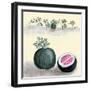 Watermelon With Plant Growing In The Background-null-Framed Art Print