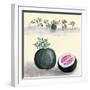 Watermelon With Plant Growing In The Background-null-Framed Art Print