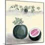 Watermelon With Plant Growing In The Background-null-Mounted Art Print