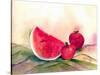 Watermelon-Neela Pushparaj-Stretched Canvas