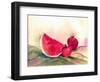 Watermelon-Neela Pushparaj-Framed Giclee Print