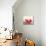 Watermelon-Neela Pushparaj-Mounted Giclee Print displayed on a wall