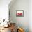 Watermelon-Neela Pushparaj-Framed Stretched Canvas displayed on a wall