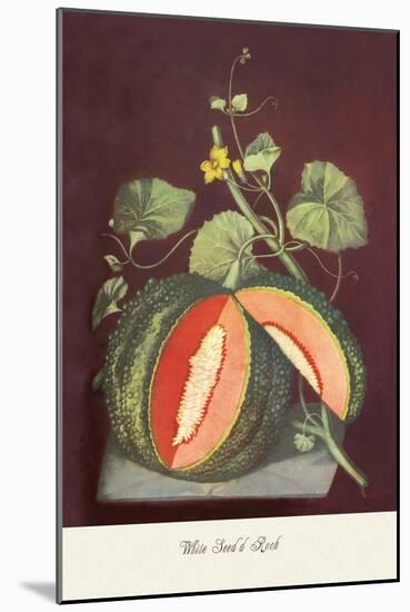 Watermelon-null-Mounted Art Print