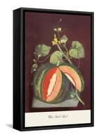 Watermelon-null-Framed Stretched Canvas
