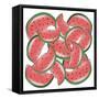 Watermelon-Martina Pavlova-Framed Stretched Canvas