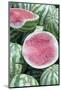 Watermelons, Ed Damer Village, Sudan, Africa-Jean-Pierre De Mann-Mounted Photographic Print