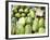 Watermelons for Sale at Capo Market-Matthew Williams-Ellis-Framed Photographic Print