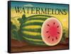 Watermelons-Diane Pedersen-Framed Stretched Canvas