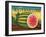 Watermelons-Diane Pedersen-Framed Art Print