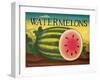 Watermelons-Diane Pedersen-Framed Art Print