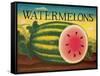 Watermelons-Diane Pedersen-Framed Stretched Canvas