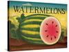 Watermelons-Diane Pedersen-Stretched Canvas