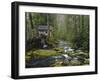 Watermill By Stream in Forest, Roaring Fork, Great Smoky Mountains National Park, Tennessee, USA-Adam Jones-Framed Photographic Print