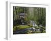 Watermill By Stream in Forest, Roaring Fork, Great Smoky Mountains National Park, Tennessee, USA-Adam Jones-Framed Photographic Print