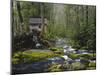 Watermill By Stream in Forest, Roaring Fork, Great Smoky Mountains National Park, Tennessee, USA-Adam Jones-Mounted Photographic Print