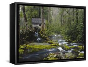 Watermill in Forest by Stream, Roaring Fork, Great Smoky Mountains National Park, Tennessee, USA-Adam Jones-Framed Stretched Canvas