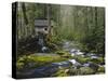 Watermill in Forest by Stream, Roaring Fork, Great Smoky Mountains National Park, Tennessee, USA-Adam Jones-Stretched Canvas