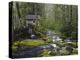 Watermill in Forest by Stream, Roaring Fork, Great Smoky Mountains National Park, Tennessee, USA-Adam Jones-Stretched Canvas