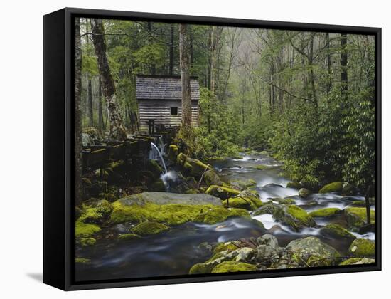 Watermill in Forest by Stream, Roaring Fork, Great Smoky Mountains National Park, Tennessee, USA-Adam Jones-Framed Stretched Canvas