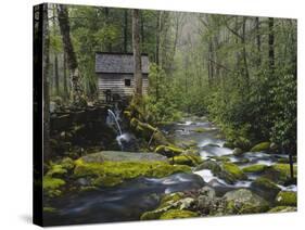 Watermill in Forest by Stream, Roaring Fork, Great Smoky Mountains National Park, Tennessee, USA-Adam Jones-Stretched Canvas