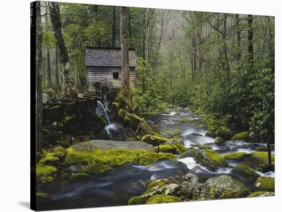 Watermill in Forest by Stream, Roaring Fork, Great Smoky Mountains National Park, Tennessee, USA-Adam Jones-Stretched Canvas