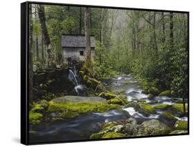 Watermill in Forest by Stream, Roaring Fork, Great Smoky Mountains National Park, Tennessee, USA-Adam Jones-Framed Stretched Canvas