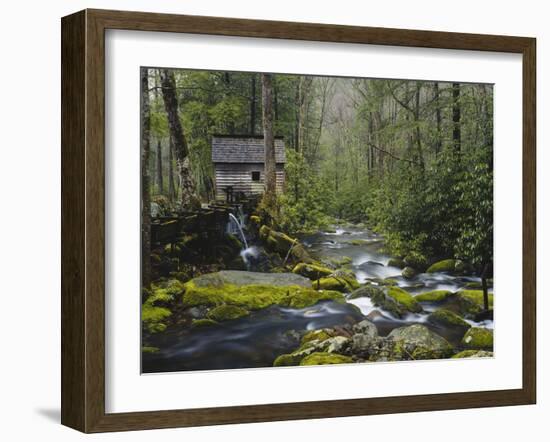 Watermill in Forest by Stream, Roaring Fork, Great Smoky Mountains National Park, Tennessee, USA-Adam Jones-Framed Photographic Print