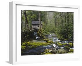 Watermill in Forest by Stream, Roaring Fork, Great Smoky Mountains National Park, Tennessee, USA-Adam Jones-Framed Photographic Print