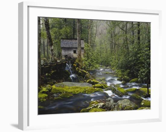 Watermill in Forest by Stream, Roaring Fork, Great Smoky Mountains National Park, Tennessee, USA-Adam Jones-Framed Photographic Print