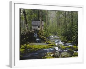 Watermill in Forest by Stream, Roaring Fork, Great Smoky Mountains National Park, Tennessee, USA-Adam Jones-Framed Photographic Print