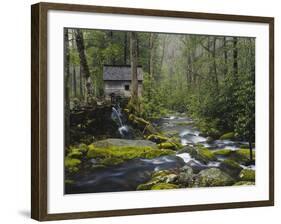 Watermill in Forest by Stream, Roaring Fork, Great Smoky Mountains National Park, Tennessee, USA-Adam Jones-Framed Photographic Print