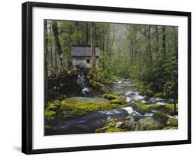 Watermill in Forest by Stream, Roaring Fork, Great Smoky Mountains National Park, Tennessee, USA-Adam Jones-Framed Photographic Print