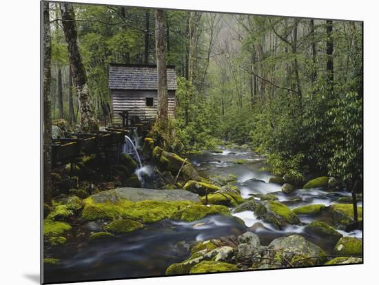 Watermill in Forest by Stream, Roaring Fork, Great Smoky Mountains National Park, Tennessee, USA-Adam Jones-Mounted Photographic Print