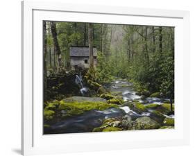 Watermill in Forest by Stream, Roaring Fork, Great Smoky Mountains National Park, Tennessee, USA-Adam Jones-Framed Photographic Print