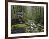 Watermill in Forest by Stream, Roaring Fork, Great Smoky Mountains National Park, Tennessee, USA-Adam Jones-Framed Photographic Print