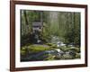 Watermill in Forest by Stream, Roaring Fork, Great Smoky Mountains National Park, Tennessee, USA-Adam Jones-Framed Photographic Print