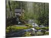 Watermill in Forest by Stream, Roaring Fork, Great Smoky Mountains National Park, Tennessee, USA-Adam Jones-Mounted Photographic Print