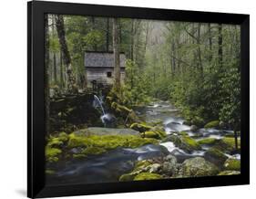 Watermill in Forest by Stream, Roaring Fork, Great Smoky Mountains National Park, Tennessee, USA-Adam Jones-Framed Photographic Print