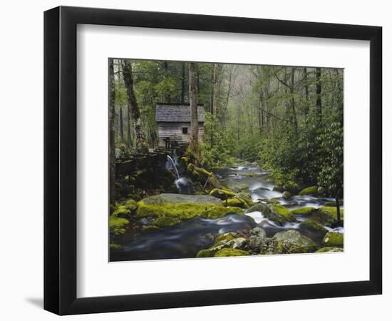 Watermill in Forest by Stream, Roaring Fork, Great Smoky Mountains National Park, Tennessee, USA-Adam Jones-Framed Photographic Print