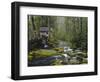 Watermill in Forest by Stream, Roaring Fork, Great Smoky Mountains National Park, Tennessee, USA-Adam Jones-Framed Photographic Print