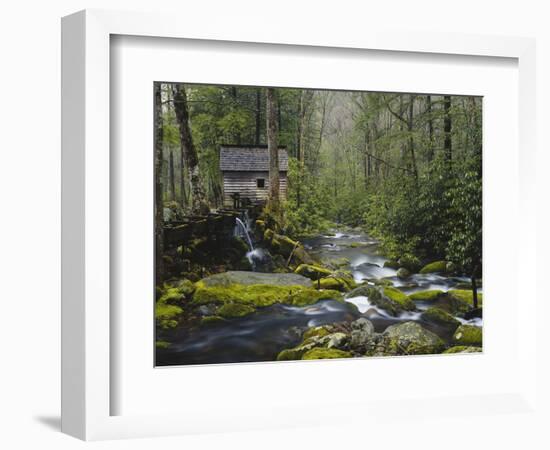 Watermill in Forest by Stream, Roaring Fork, Great Smoky Mountains National Park, Tennessee, USA-Adam Jones-Framed Photographic Print